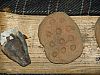DSC05812.jpg